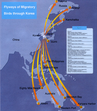 fig03.jpg